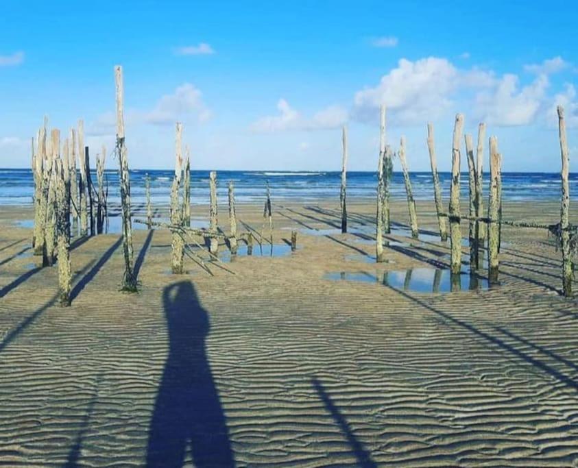 Maravilhosa Mansão na Praia de Ipioca Maceió Exterior foto